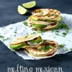 Melting Mexican Mini-Quesadillas | The Veg Spacea
