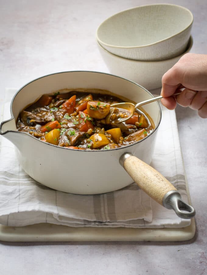 Vegan Slow Cooker Stew